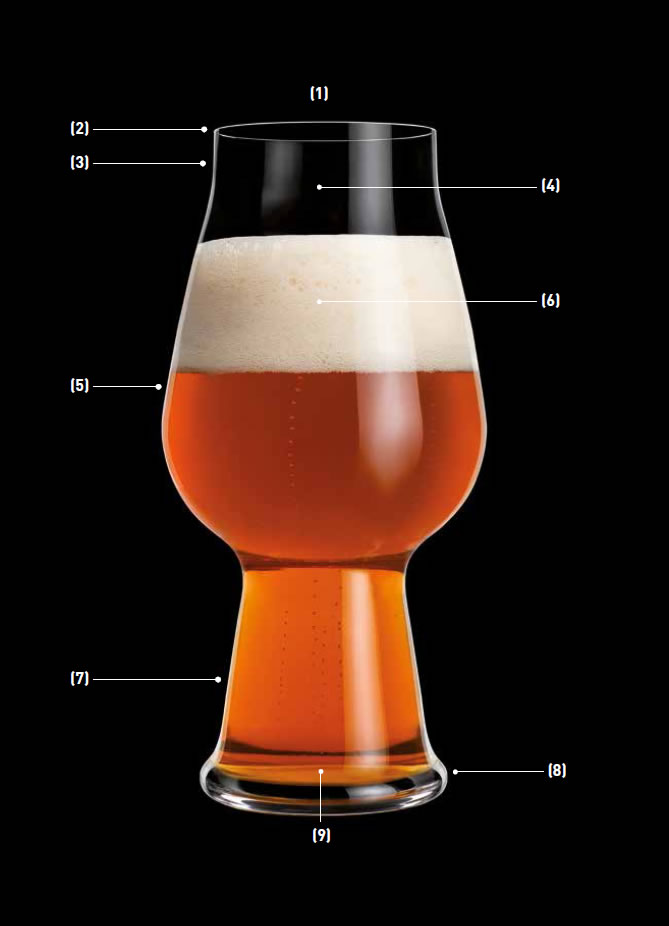 SENSORIAL CHARACTERISTICS CRAFT BEER GLASS